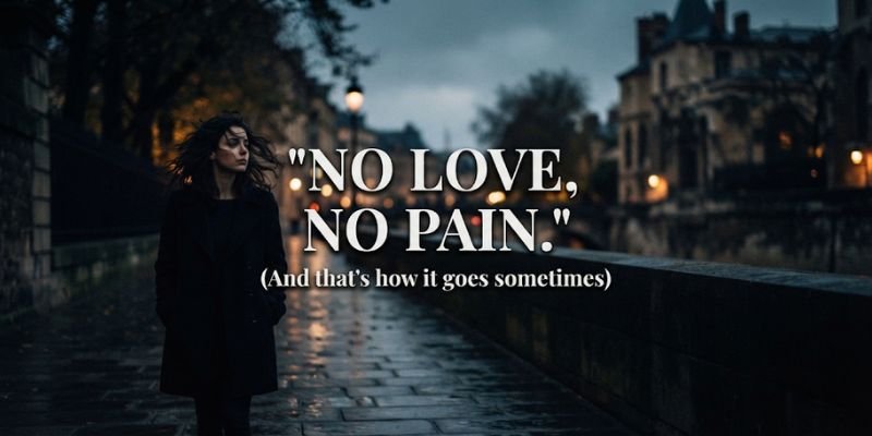 No Love, No Pain Quotes